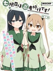 灰区法则边境执法剧海报